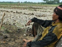 Petani yang Tetap Kesepian