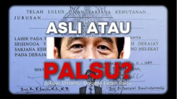 KONFLIK DELUSIF YANG ABSURD