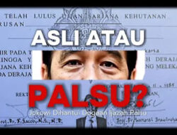 KONFLIK DELUSIF YANG ABSURD